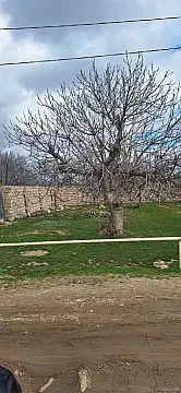 Satılır torpaq sahəsi 2 m² — Bakı, Zabrat 2.00 m²