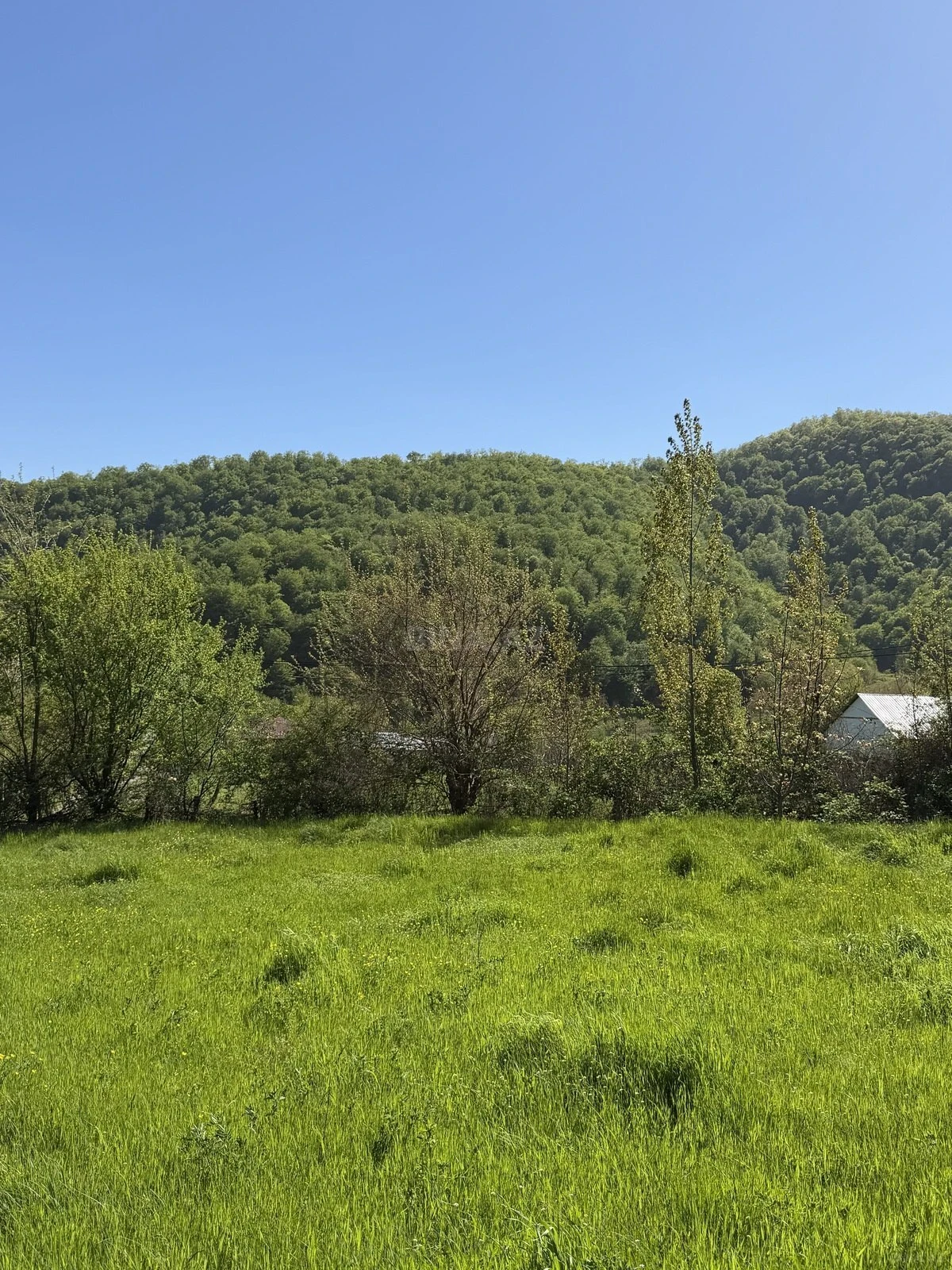 Satılır torpaq sahəsi 17.5 m²