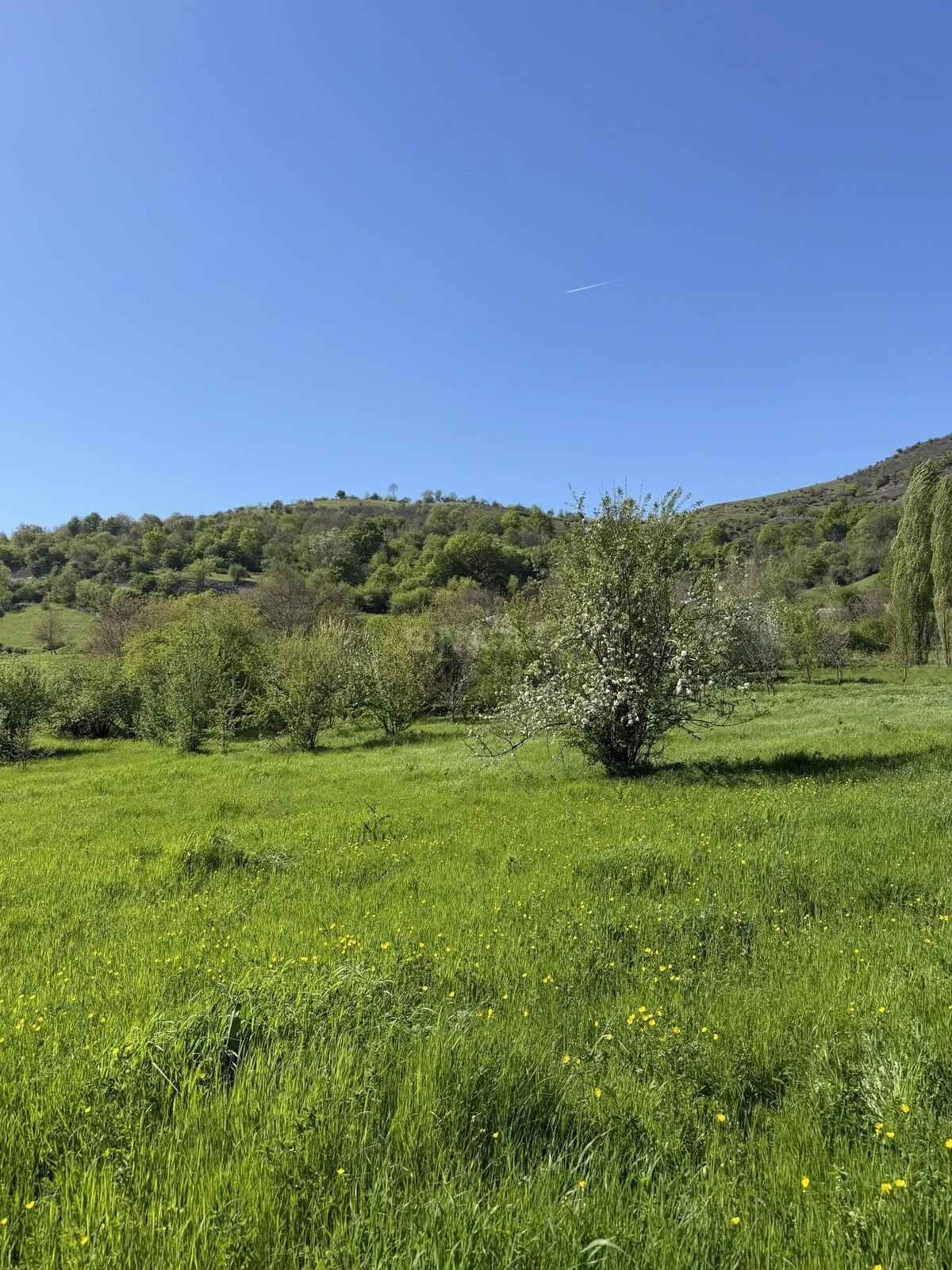 Satılır torpaq sahəsi 17.5 m²