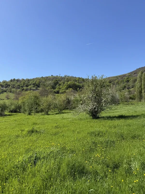 Satılır torpaq sahəsi 17.5 m²