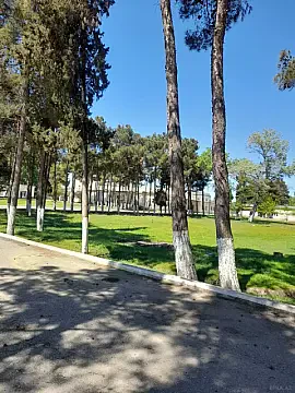 Satılır obyekt 29634 m² — Salyan 29634.00 m²