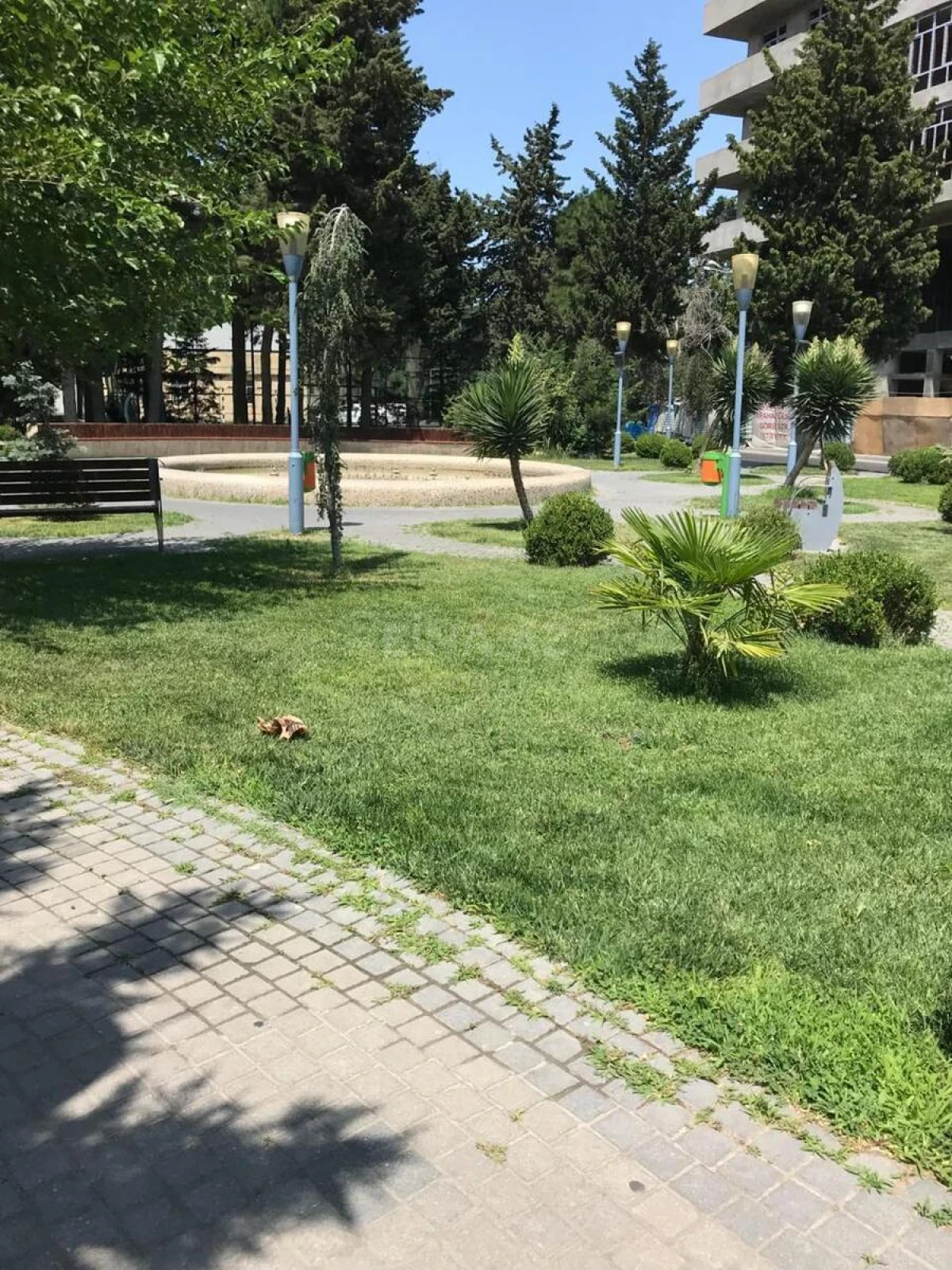 Kirayə verilir 3 otaqlı mənzil 105 m²