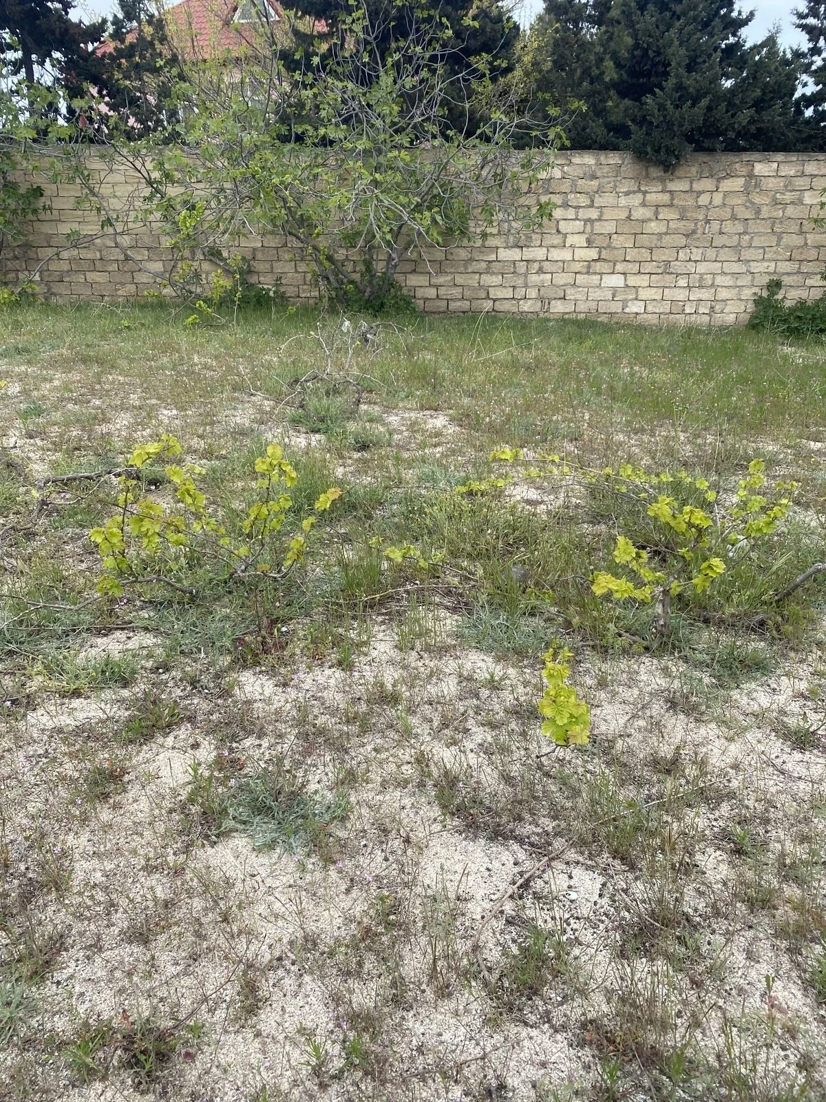 Satılır torpaq sahəsi 4 m²