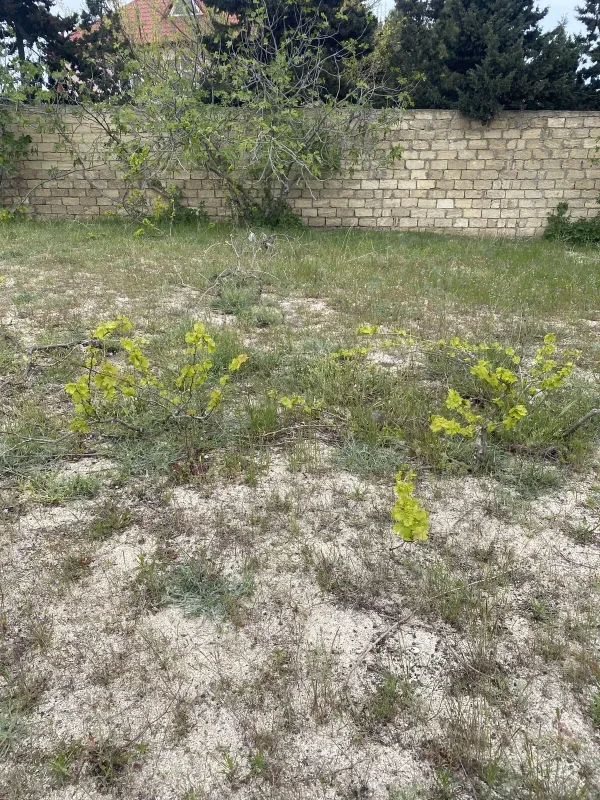 Satılır torpaq sahəsi 4 m²