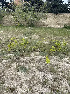 Satılır torpaq sahəsi 4 m² — Bakı, Novxanı 4.00 m²