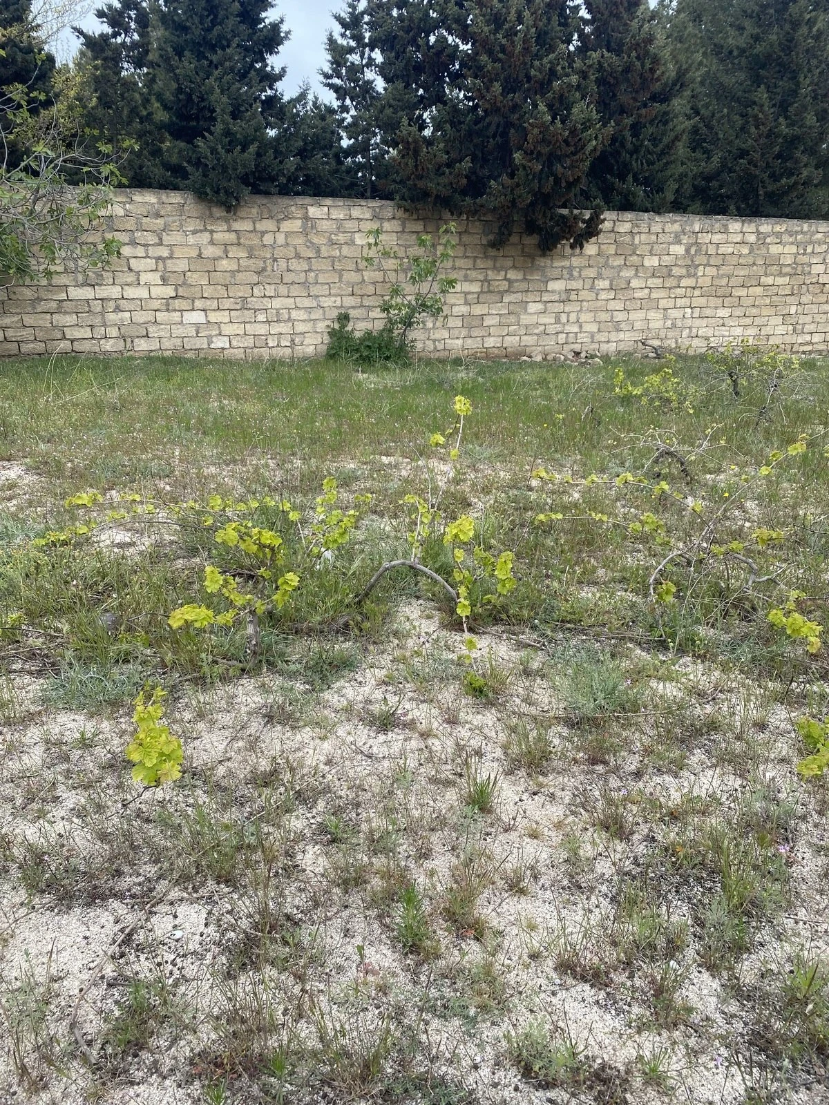 Satılır torpaq sahəsi 4 m²
