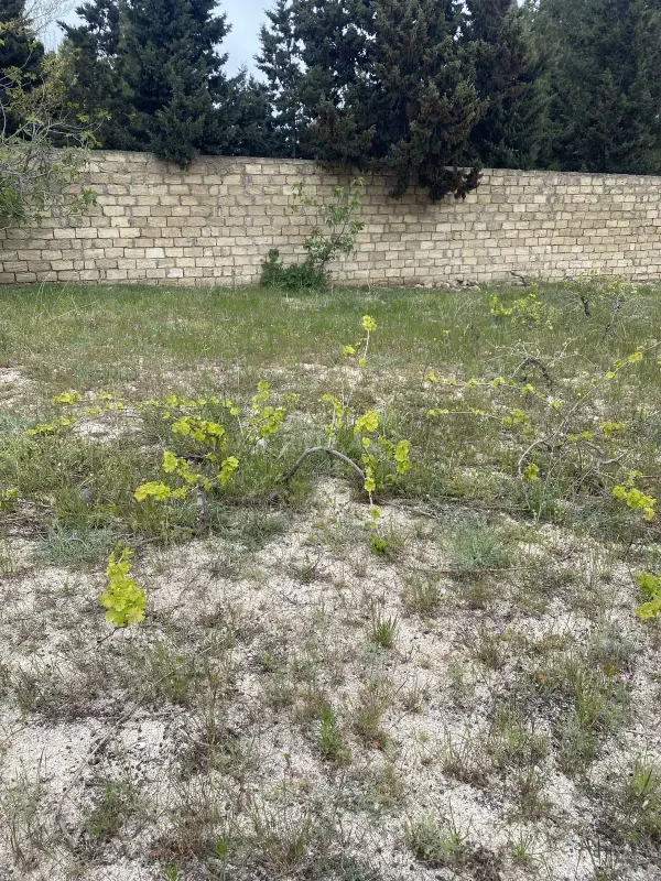 Satılır torpaq sahəsi 4 m²