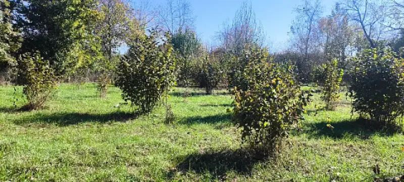 Satılır torpaq sahəsi 9 m²