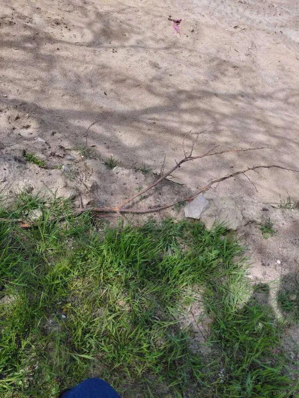 Satılır torpaq sahəsi 12.5 m²