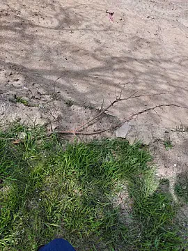 Satılır torpaq sahəsi 12.5 m²