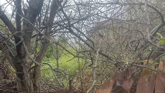 Satılır 3 otaqlı həyət evi 80 m²