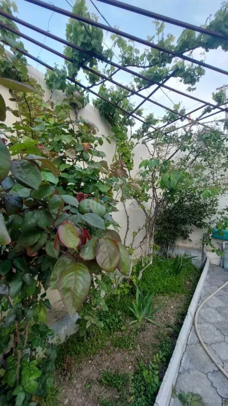 Satılır 5 otaqlı həyət evi 100 m²