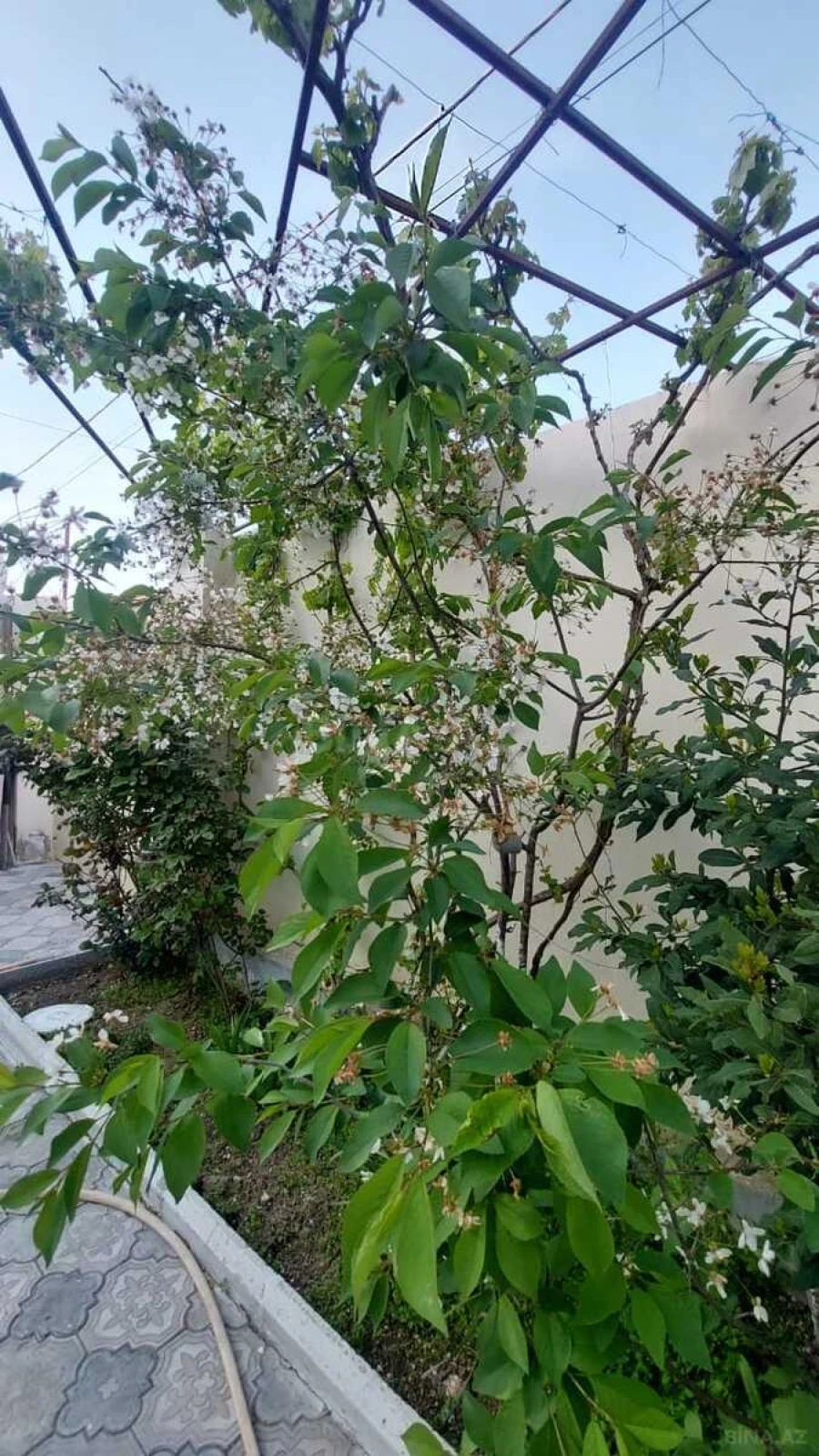 Satılır 5 otaqlı həyət evi 100 m²