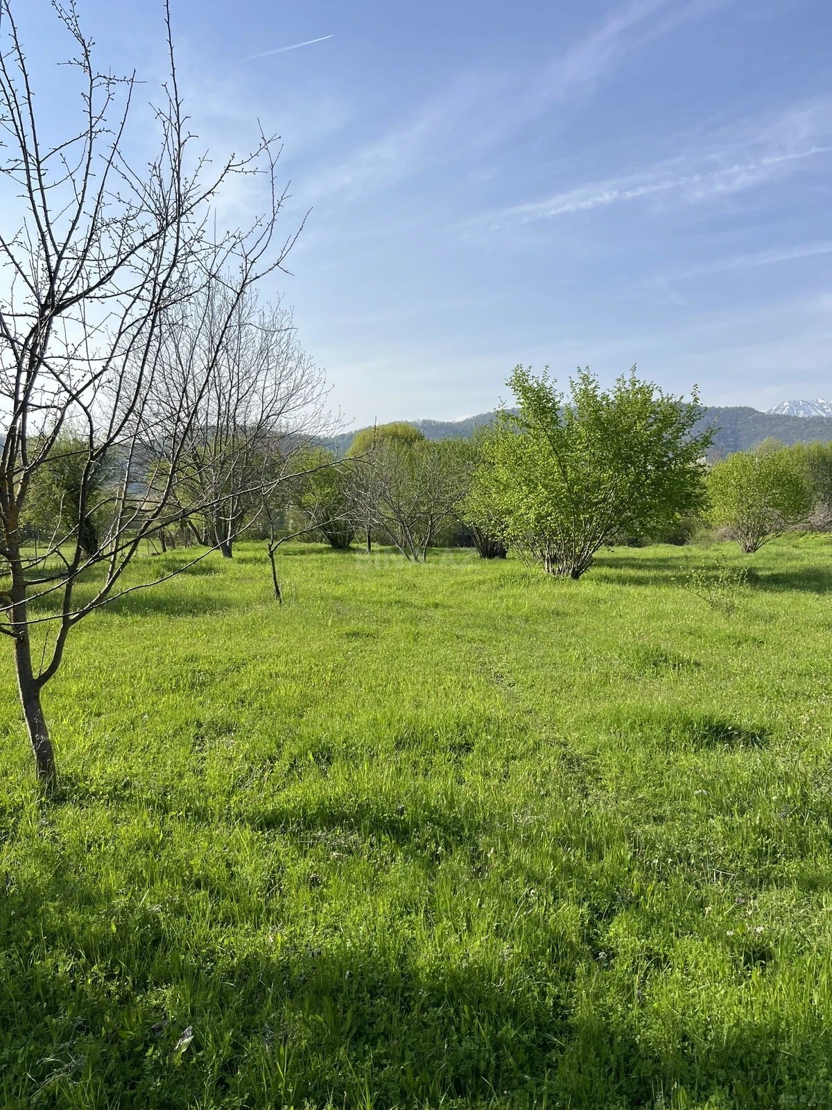 Satılır torpaq sahəsi 44 m²