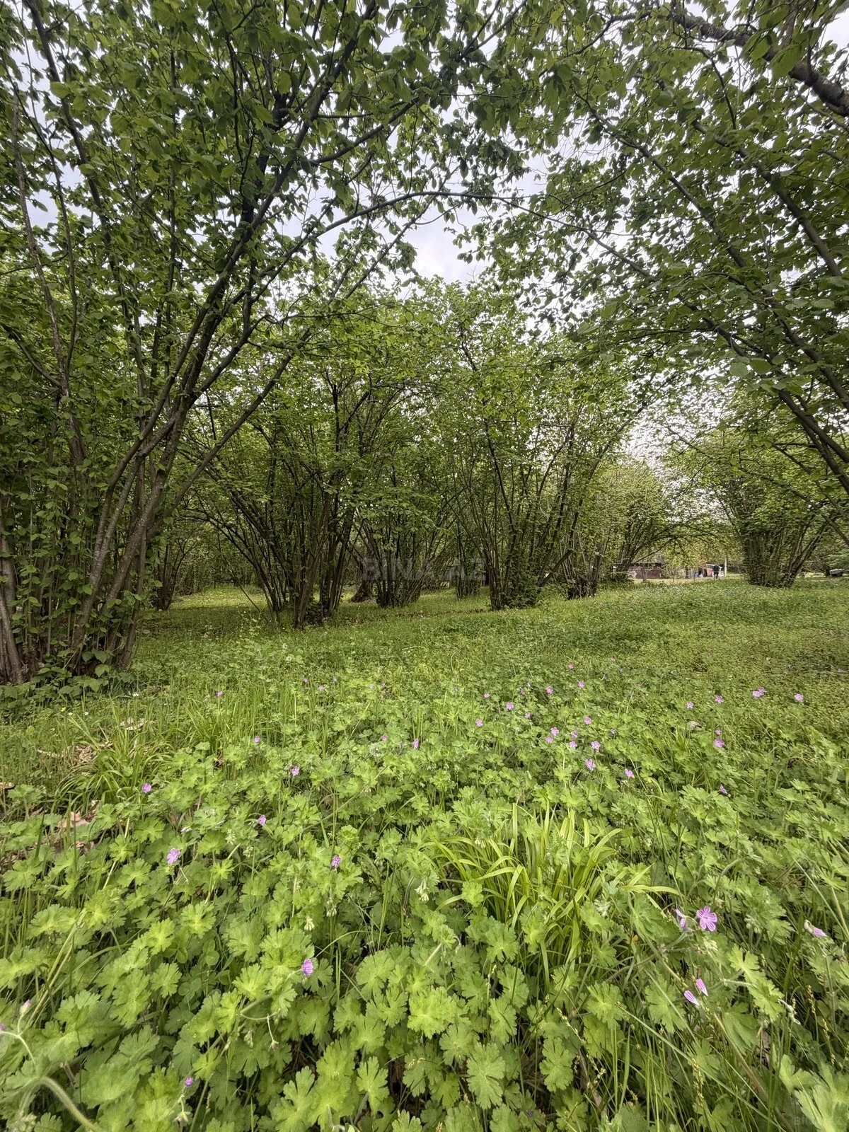 Satılır torpaq sahəsi 23 m²