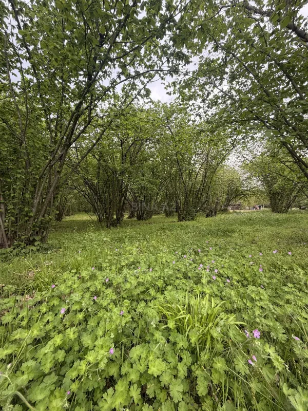 Satılır torpaq sahəsi 23 m²