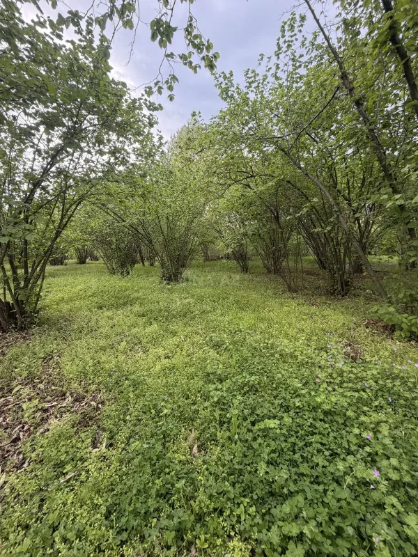 Satılır torpaq sahəsi 23 m²