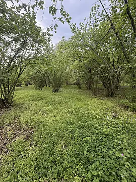 Satılır torpaq sahəsi 23 m²