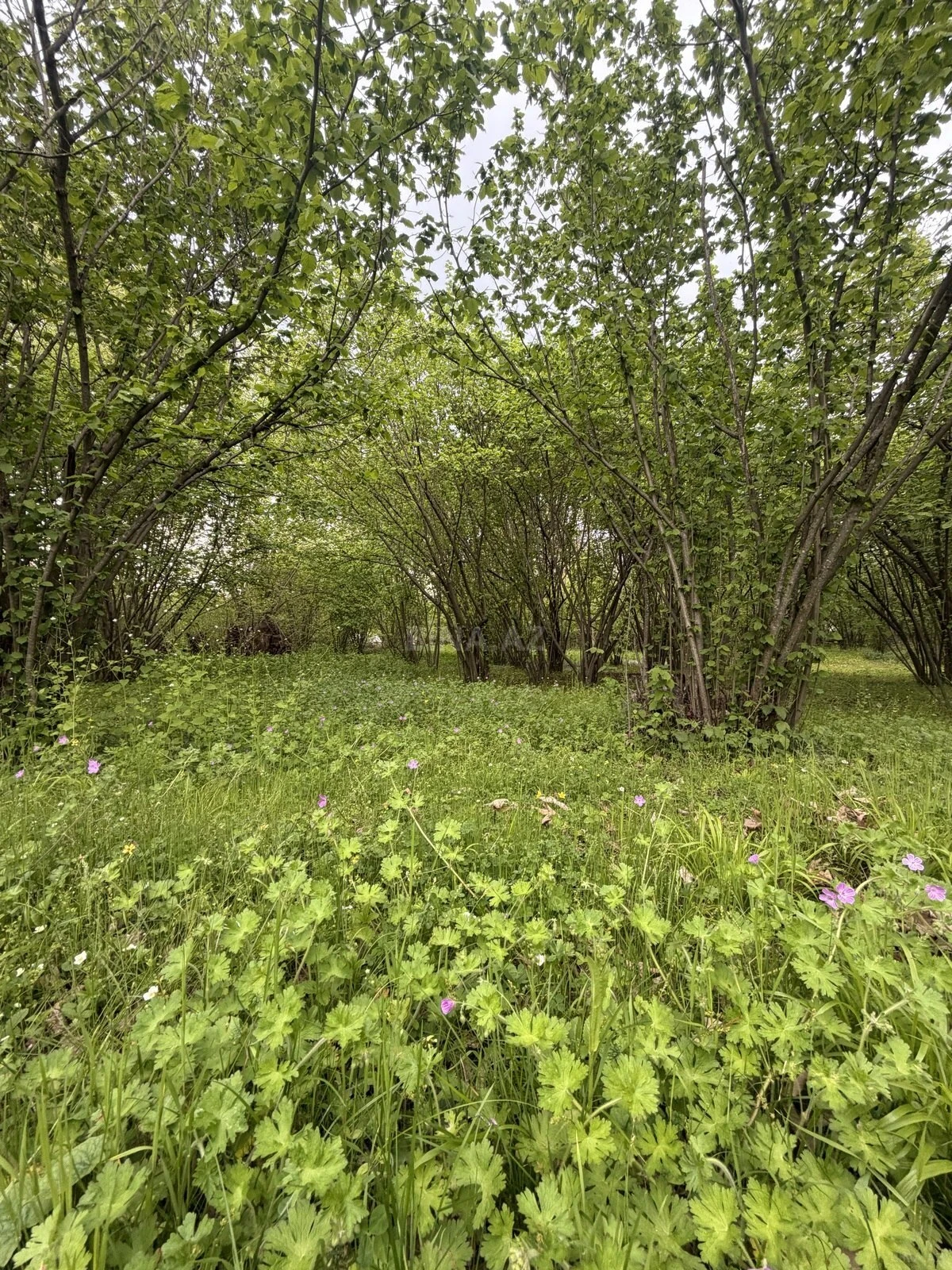 Satılır torpaq sahəsi 23 m²