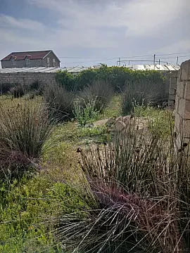 Satılır torpaq sahəsi 18 m²