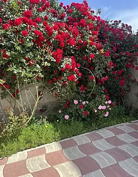 Satılır 3 otaqlı həyət evi 135 m² — Bakı, Binəqədi 3 otaq 135.00 m²
