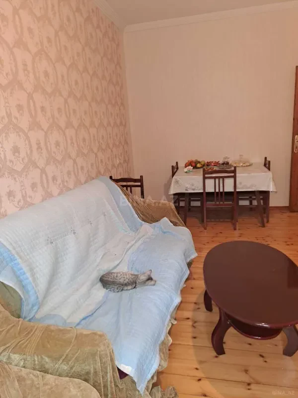 Satılır 2 otaqlı mənzil 65 m²