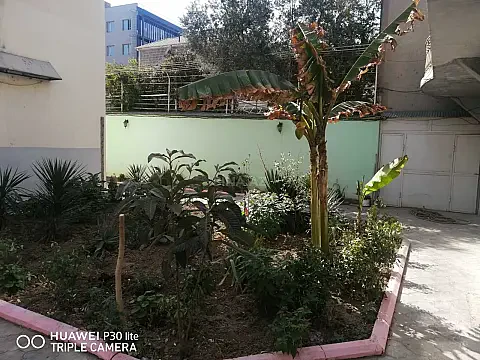 Satılır 10 otaqlı həyət evi 300 m²