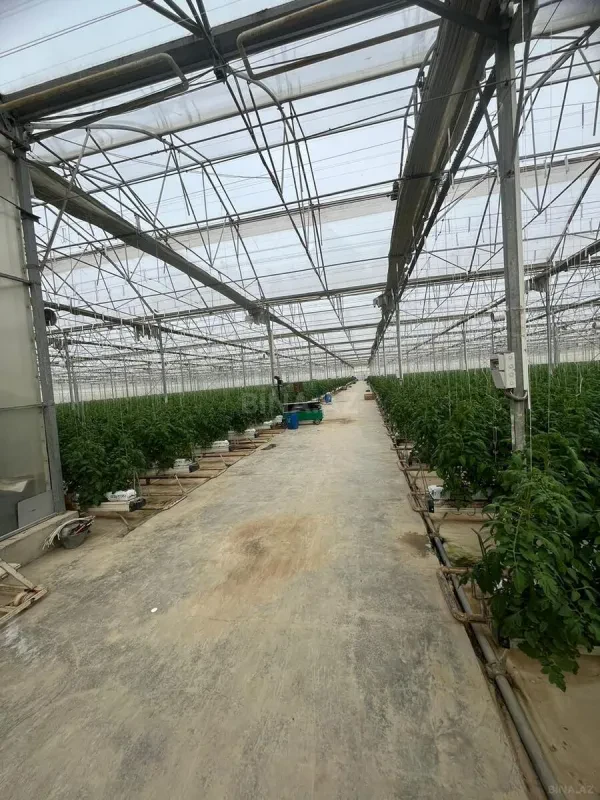 Satılır obyekt 25000 m²