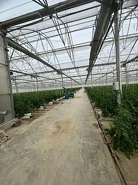 Satılır obyekt 25000 m²