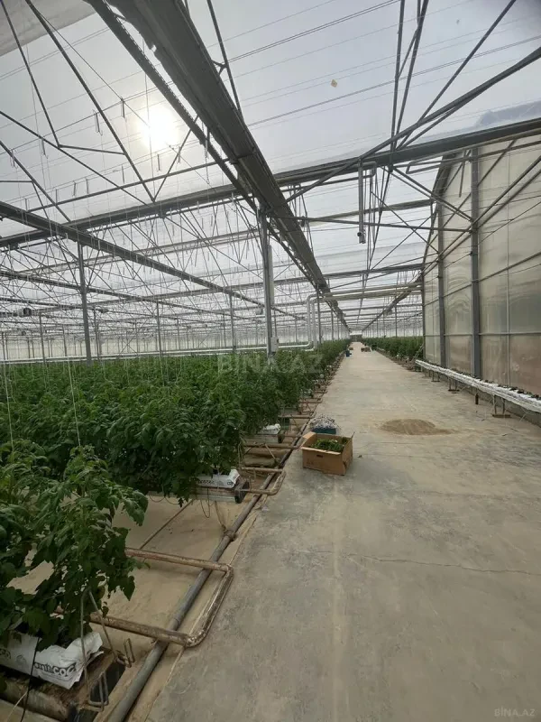 Satılır obyekt 25000 m²