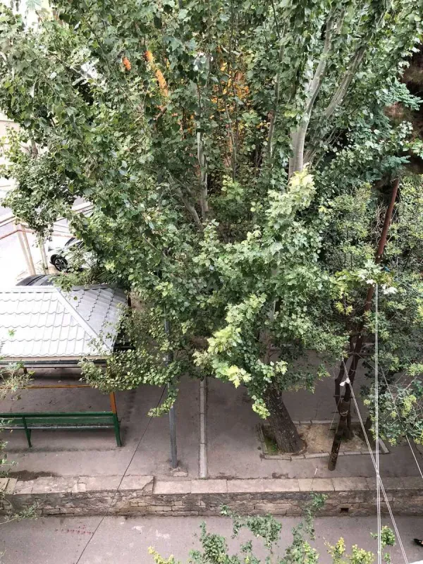 Satılır 3 otaqlı mənzil 75 m²