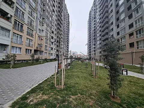 Kirayə verilir 2 otaqlı mənzil 50 m² — Bakı 2 otaq 50.00 m²