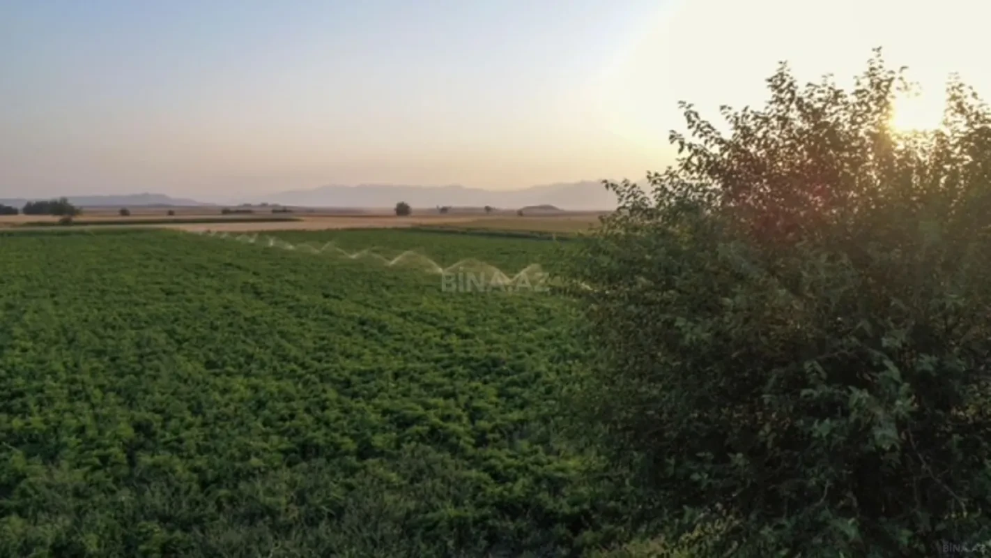 Satılır torpaq sahəsi 5000 m²