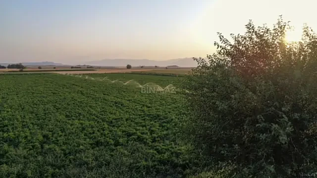 Satılır torpaq sahəsi 5000 m² — Salyan 5000.00 m²