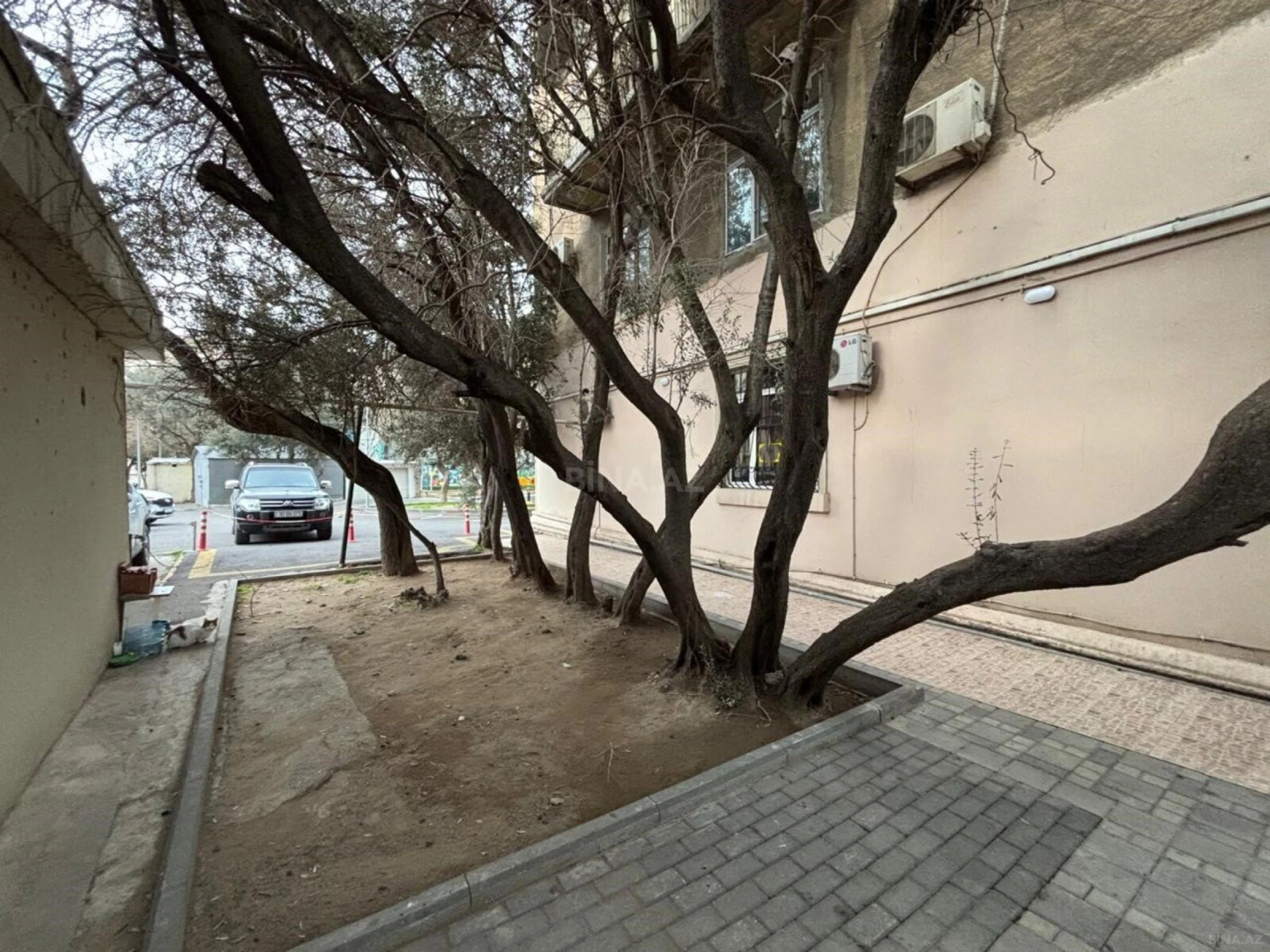 Kirayə verilir obyekt 100 m²