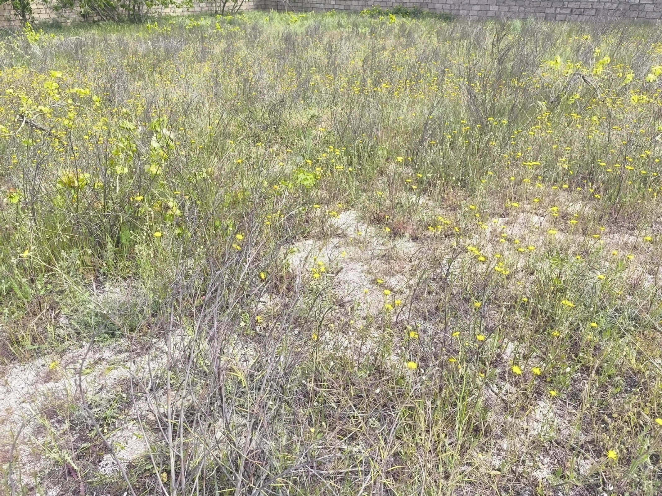 Satılır torpaq sahəsi 3 m²