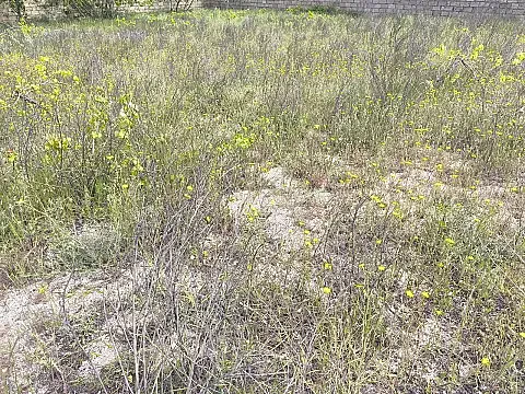 Satılır torpaq sahəsi 3 m²