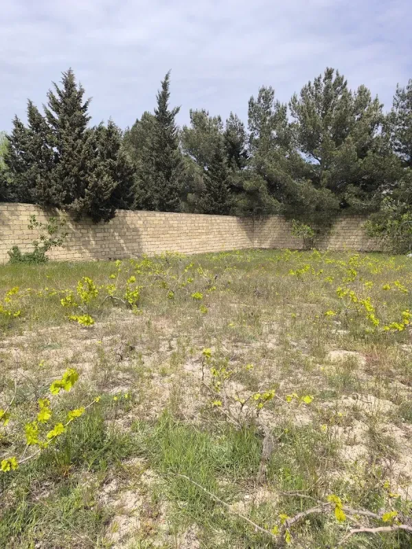 Satılır torpaq sahəsi 3 m²