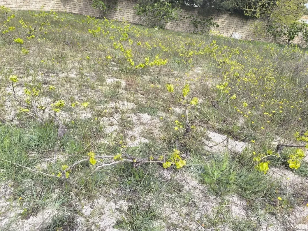 Satılır torpaq sahəsi 3 m²