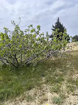 Satılır torpaq sahəsi 4 m² — Bakı, Novxanı 4.00 m²