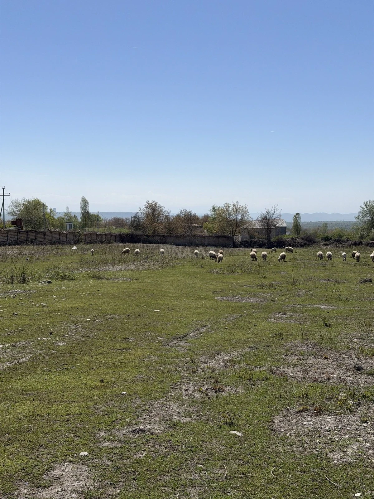 Satılır torpaq sahəsi 75 m²