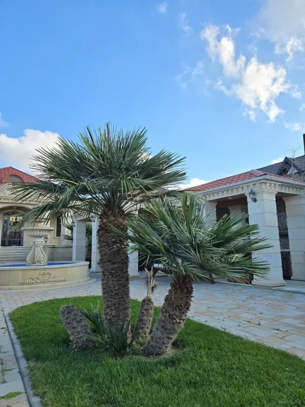 Satılır 4 otaqlı həyət evi 220 m²