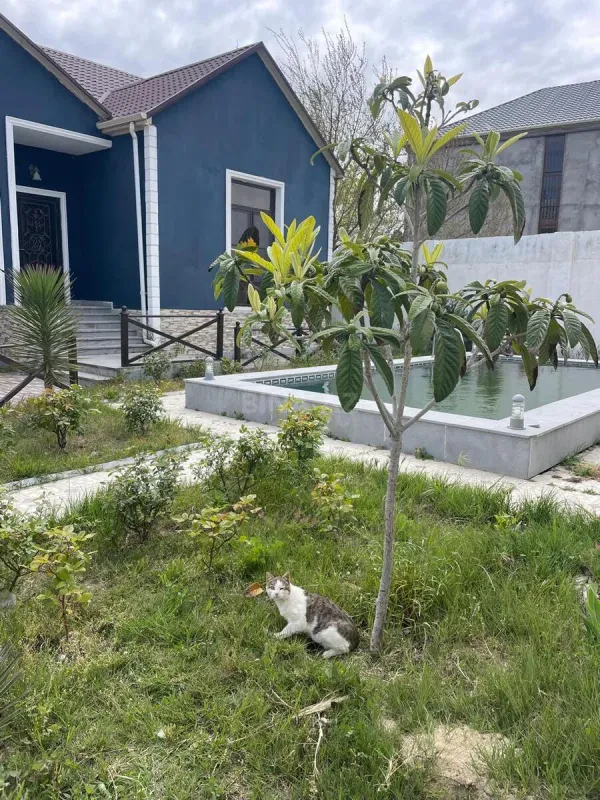Satılır 4 otaqlı həyət evi 200 m²