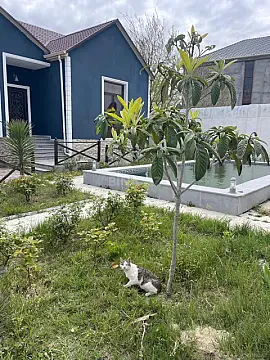 Satılır 4 otaqlı həyət evi 200 m²