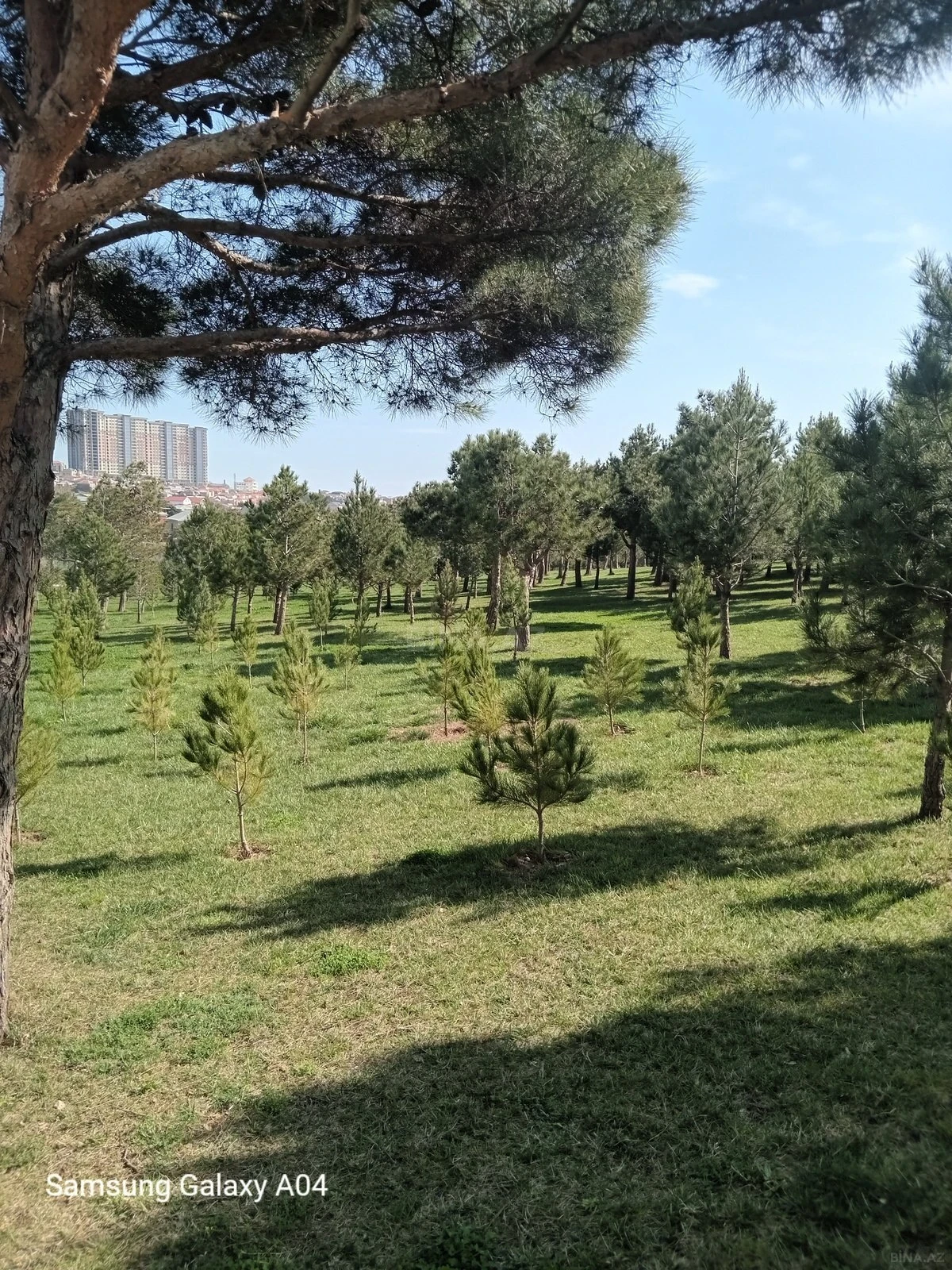 Satılır 2 otaqlı mənzil 55 m²