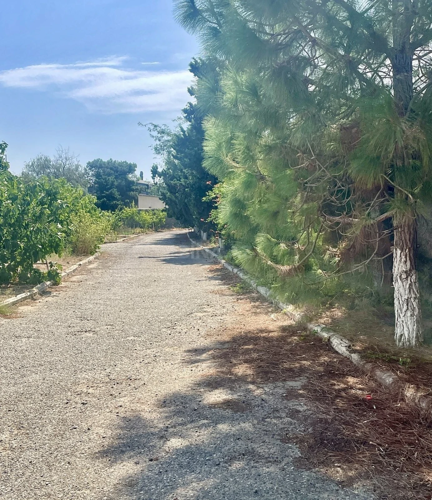 Satılır torpaq sahəsi 18 m²