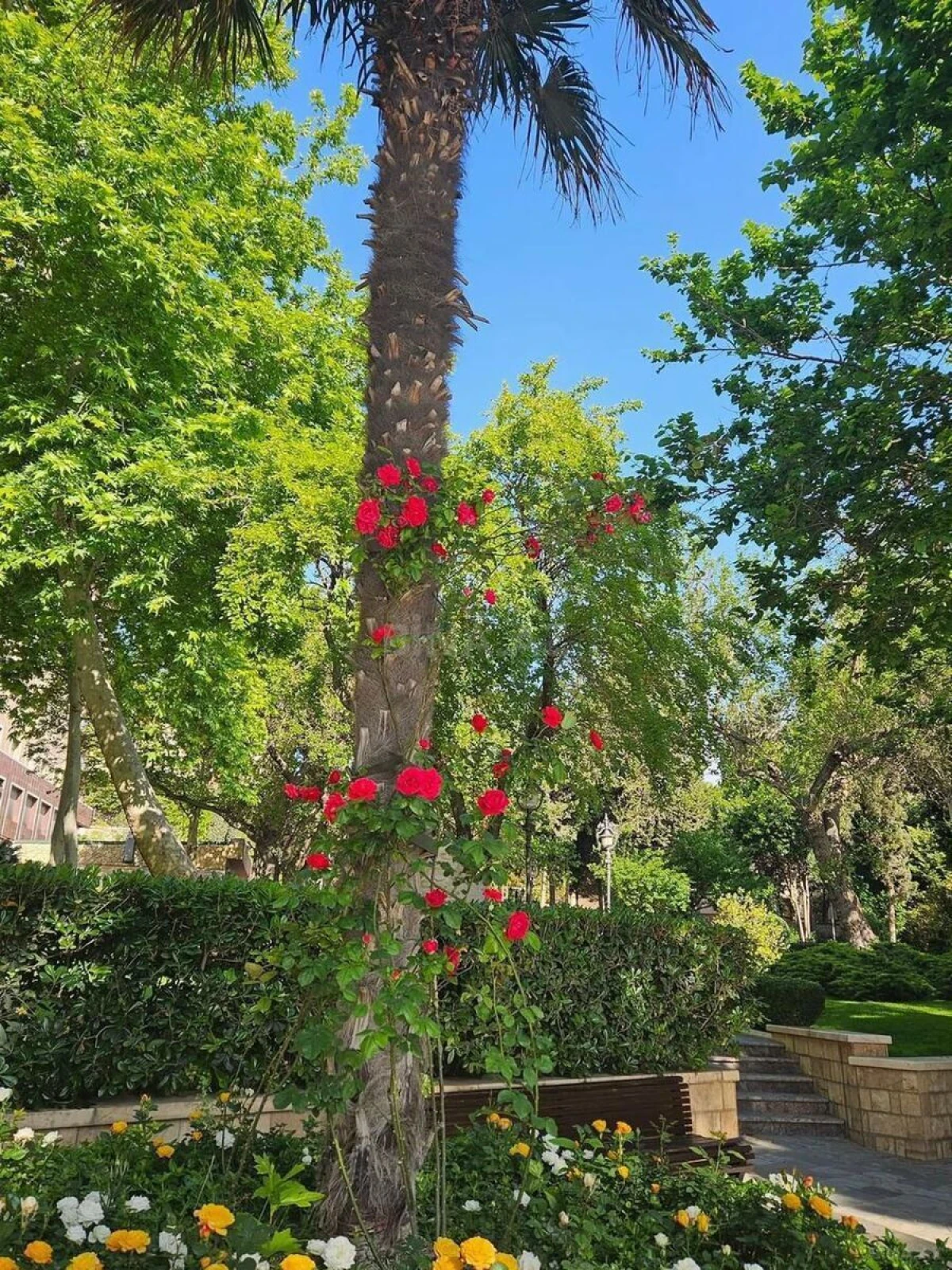 Satılır 4 otaqlı mənzil 103 m²