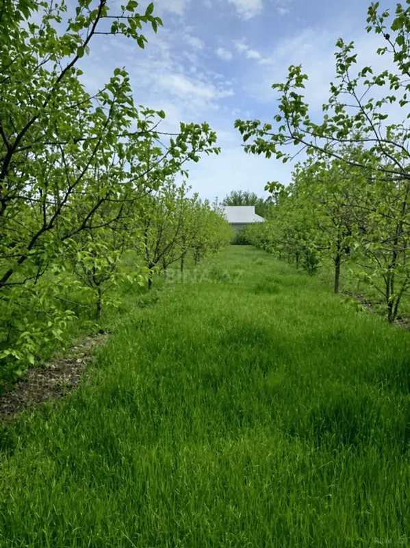 Satılır torpaq sahəsi 40 m²
