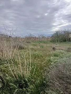 Satılır torpaq sahəsi 14 m²