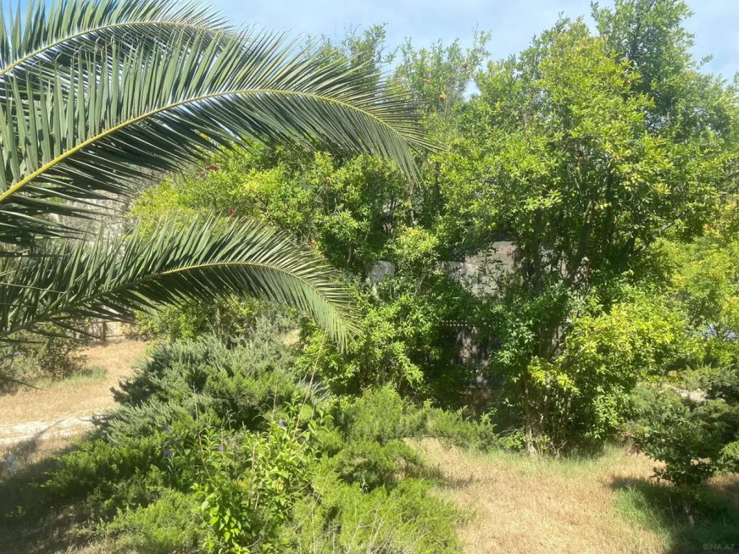 Satılır torpaq sahəsi 30 m²